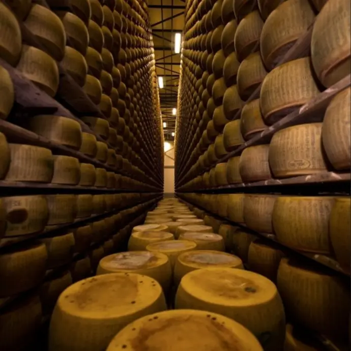 meules de parmesan